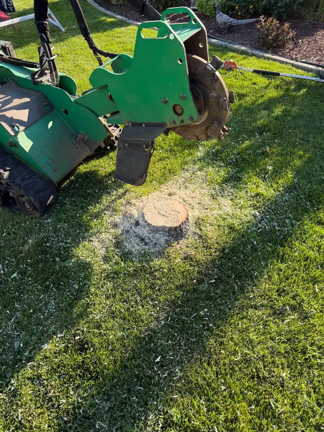 Stump grinding