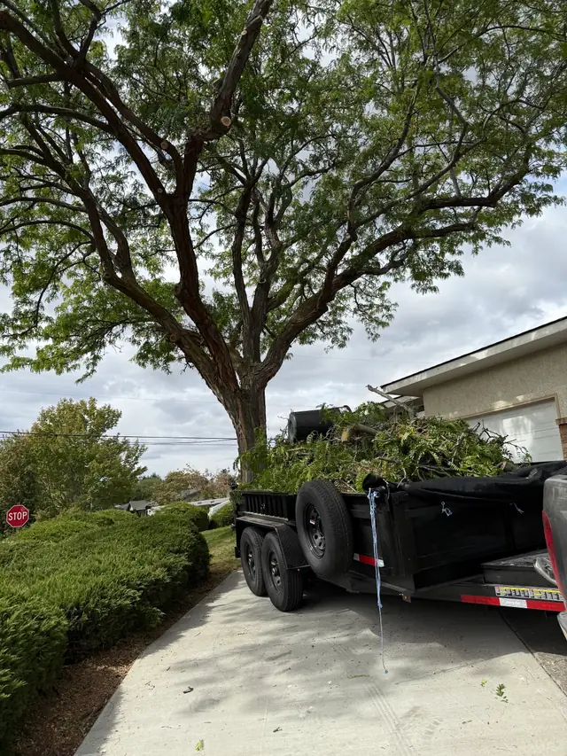 Lot, property & brush clean-up