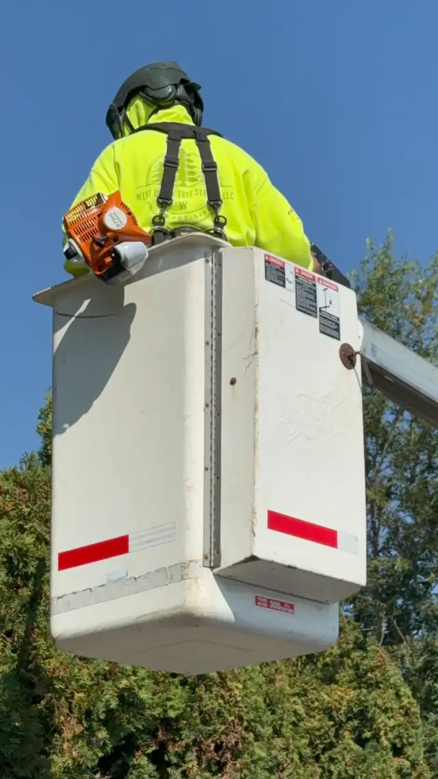 A West Valley crew member in a hi-vis vest and helmet in the bucket, saw at the ready