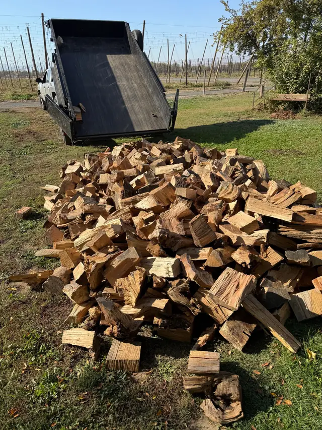 Split firewood from a removal tipped from a dump trailer by an orchard