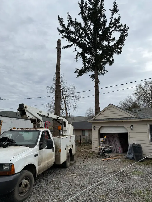A West Valley bucket truck beside a garage while a tall topped tree is taken down